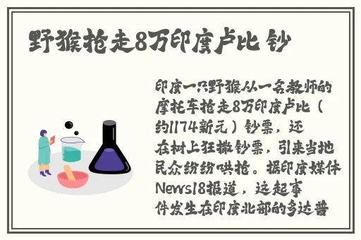 7x7x任意噪蘑菇